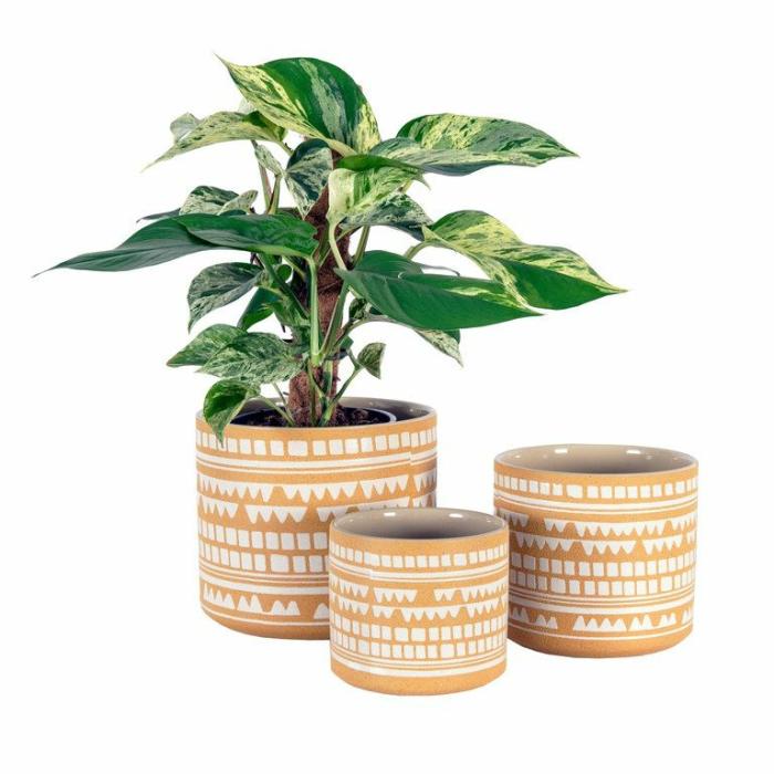 Indoor Pots | Planter Cortona Saffron Indoor Pots Indoor Pots