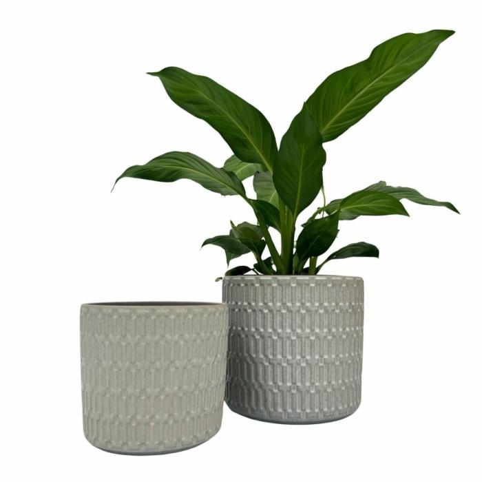 Indoor Pots | Planter Zara Indoor Pots Cream