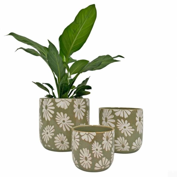 Indoor Pots | Daisy Planter Sage Indoor Pots Indoor Pots