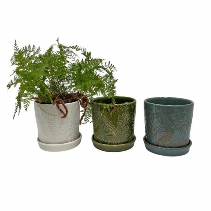 Indoor Pots | Tropical Planter Indoor Pots Indoor Pots